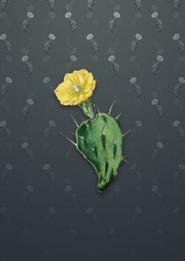 One Spined Opuntia Flower