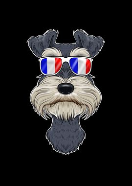 Miniature Schnauzer France