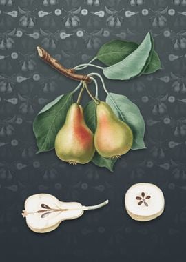 Vintage Pear on Slate Gray