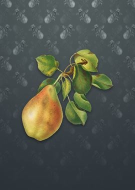 Vintage Pear on Slate Gray