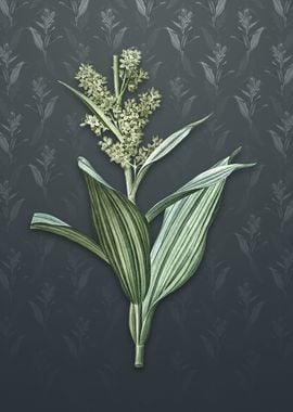 Vintage False Helleborine