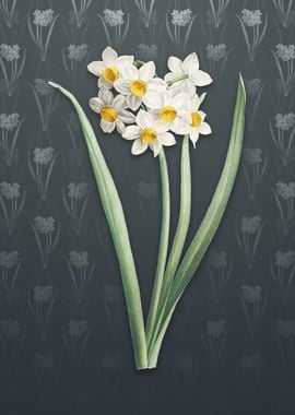 Narcissus Easter Flower