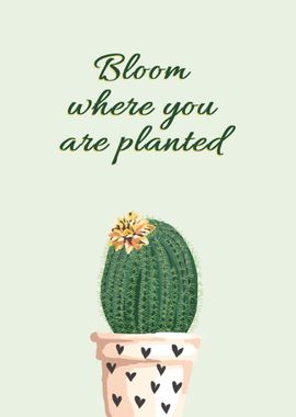 Bloom Where U Are Planted