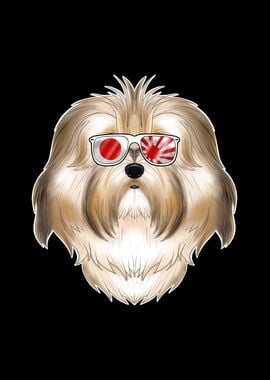 Havanese Japan Sunglasses