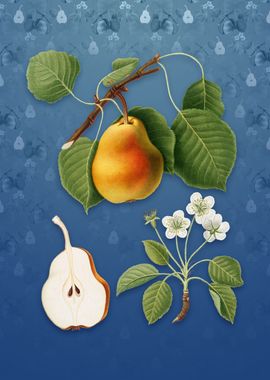 Pear on Bahama Blue