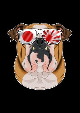 English Bulldog Japan