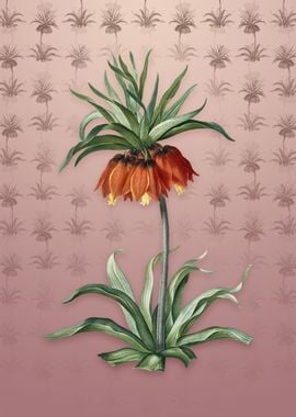 Vintage Fritillaries