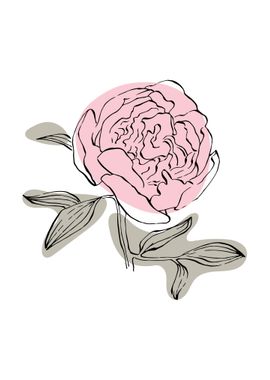 Peony Minimalist ART