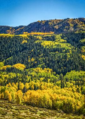 Cumbres and Toltec Train