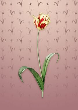 Vintage Didiers Tulip