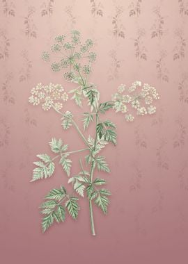 Vintage Hemlock Flowers