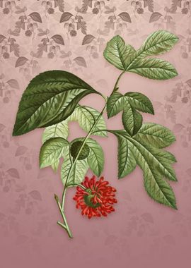 Paper Mulberry Flower