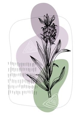 Lavender Botanical Nordic