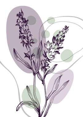 Lavender Botanical Nordic