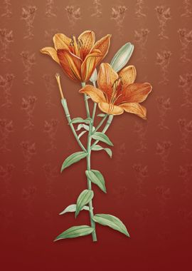 Orange Bulbous Lily on Red