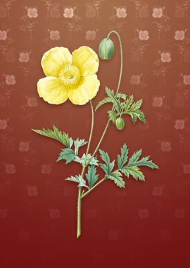 Vintage Welsh Poppy on Red