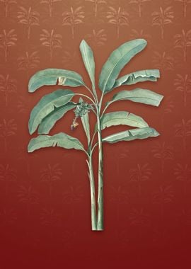 Vintage Banana Tree on Red