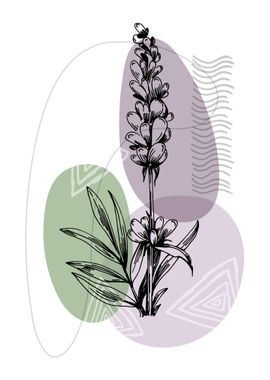 Lavender Botanical Nordic