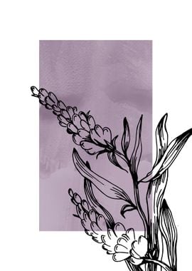 Lavender Botanical Nordic