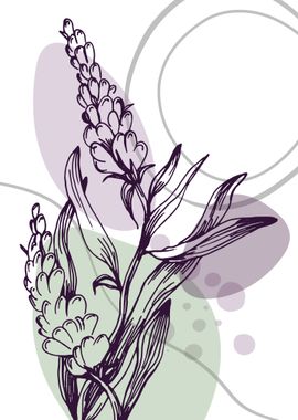 Lavender Botanical Nordic