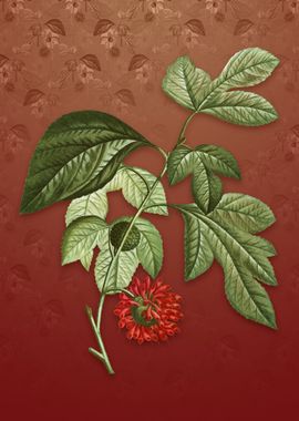 Paper Mulberry Flower