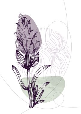 Lavender Botanical Nordic