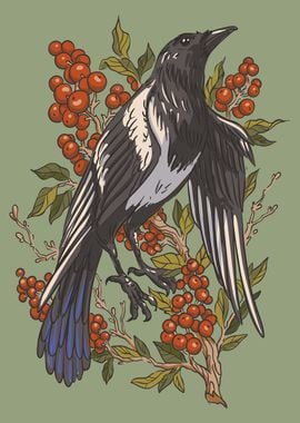 Magpie bird and cranberry