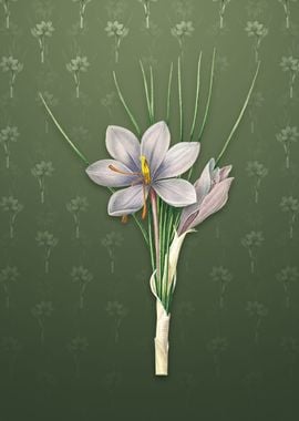 Vintage Autumn Crocus