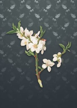 Vintage Almond Tree Flower