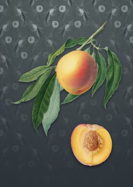 Peach on Slate Gray