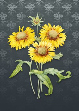 Vintage Blanket Flowers