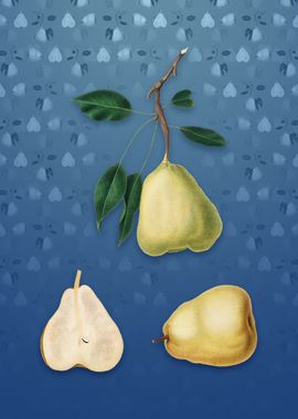 Pear on Bahama Blue