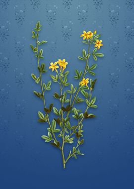 Yellow Jasmine Flowers