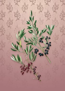 Wild Olive on Dusty Pink