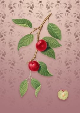 Vintage Cherry Plum