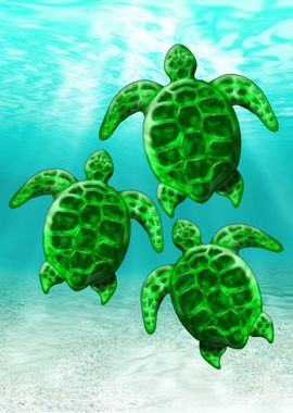 Green Sea Turtles  