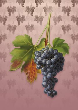 Vintage Raisin Grape