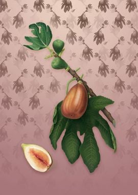 Vintage Fig on Dusty Pink