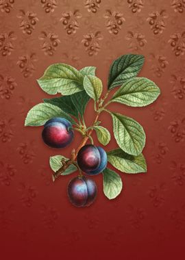 Vintage Cherry Plum on Red