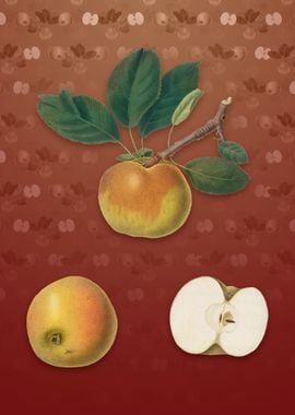 Vintage Apple on Falu Red