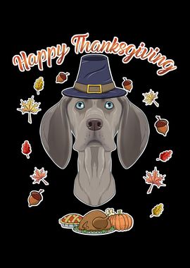 Thanksgiving Weimaraner