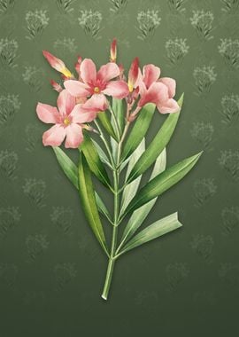 Oleander on Lunar Green