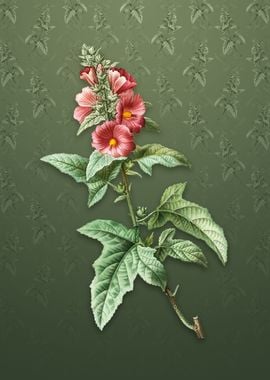 Vintage Tree Mallow