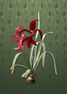 Sprekelia on Lunar Green