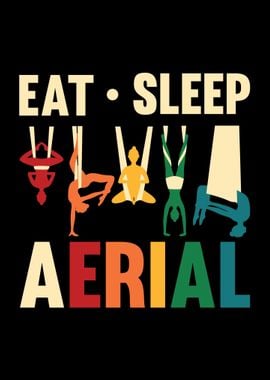 Aerialist Aerial Yoga