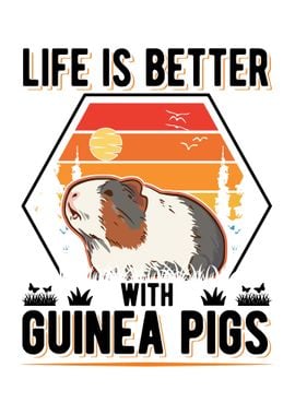 Guinea Pig Gift