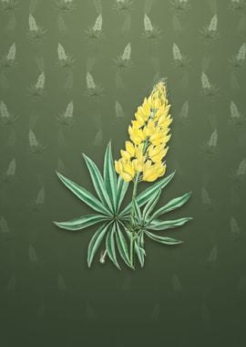 Yellow Perennial Lupine