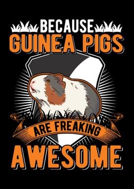 Guinea Pig Gift