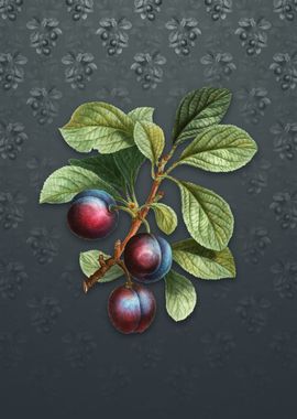 Vintage Cherry Plum