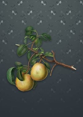 Vintage Pear on Slate Gray